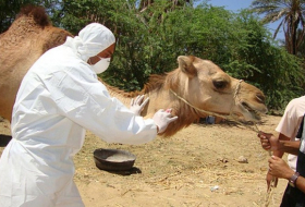Mers vaccine `a step closer` - scientists